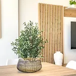 Hanami Avenida De Espana Mountain View 5h 에스테포나